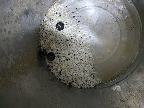 구로구 하수구막힘 궁동 하수구막힘 직접 확인한 정화조 펌핑 판단 기준